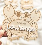 Lembranças de Aniversário — Tema Caranguejo - PIPÁPÁ - Amor em Madeira Lembranças de Aniversário — Tema Caranguejo